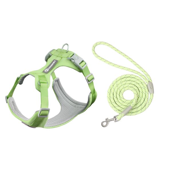 Medium Large Dogs Rope Set Green