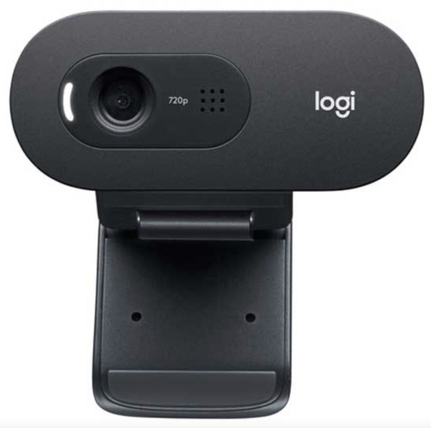 Logitech C505e Webcam