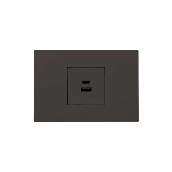 ACDC - Usba + Usbc 2.1a Outlet 2x4 Slate Orion