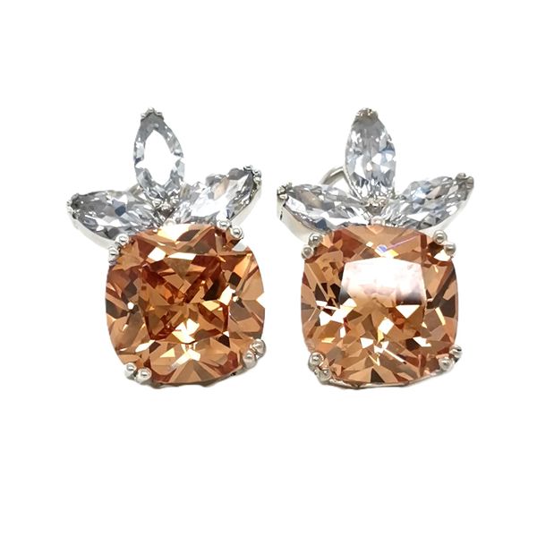 Elegant Champagne Silver Earrings