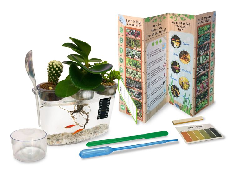 Biochemistry Aquaponic Set