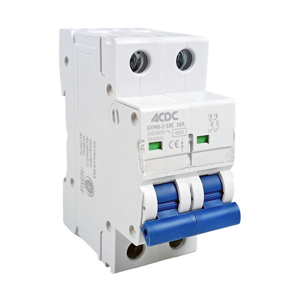 Din Circuit Breaker 2 Pole C-Curve 4.5KA 10A