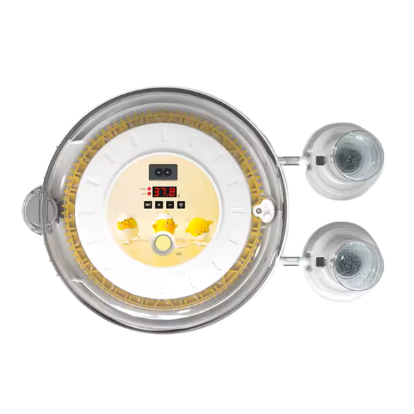 12 Eggs Incubator With Automatic Turner and Candle Tester - 360 Degree View