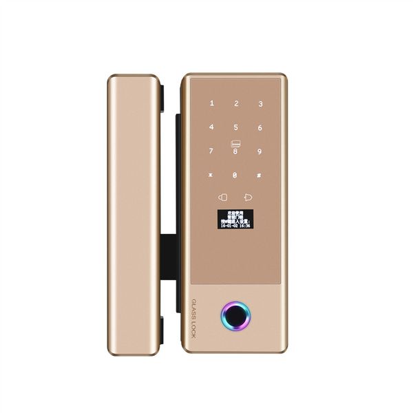 Intelligent Smart Glass Door Lock GLD