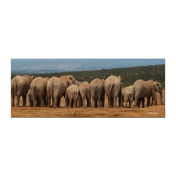 Bottoms Up B W Desk Pad by Annette Heymans