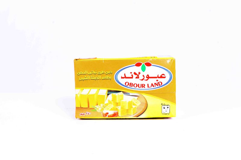 Obour Land Soft Cheese with Roumy Flavour - 250 g