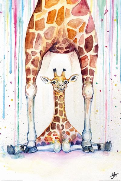 Marc Allante - Giraffes Poster