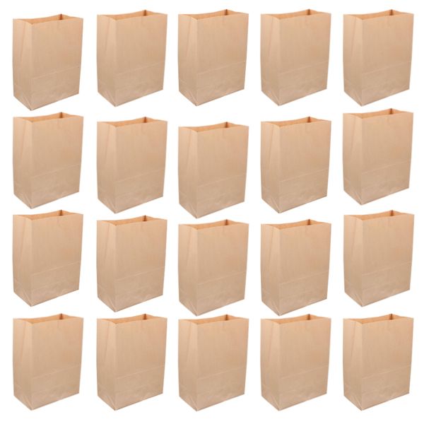 Multipurpose Disposable Brown Paper Lunch Bags - Set of 24