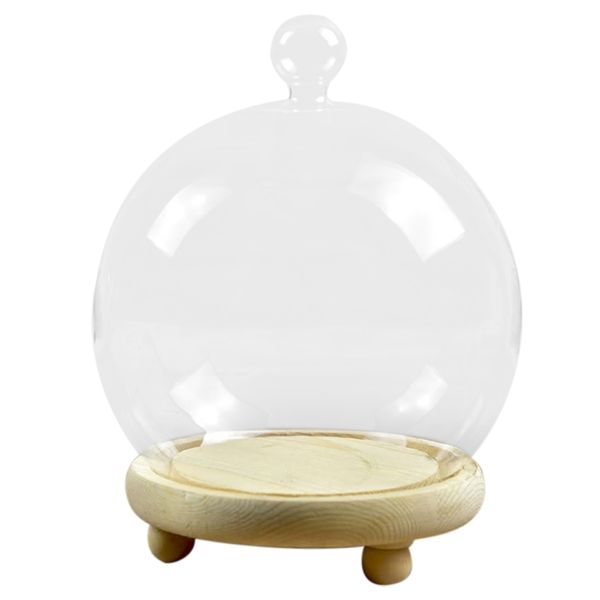 Glass Display Dome With Wooden Base Preserved Flower Glass Cover