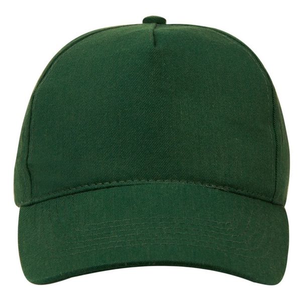Dad Hat - Green image