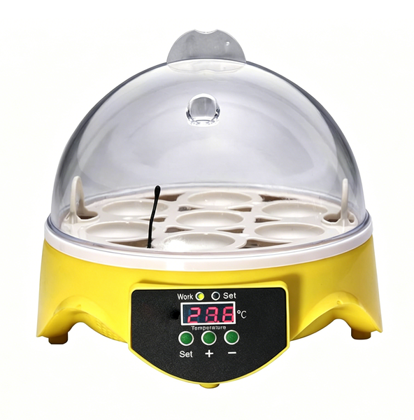 360 View 7-Egg Poultry Incubator for Hatching Chicken,Duck ,Goose ,Parrot