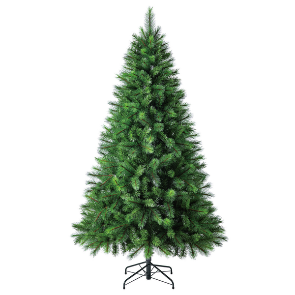 Evergreen Classics: 210cm Silvertip Fir Christmas Tree