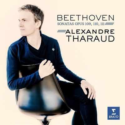 Beethoven: Sonatas Opus 110 &amp; 111 (Vinyl / 12" Album)