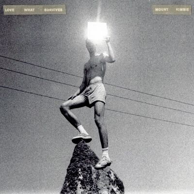 Love What Survives (Vinyl / 12" Album)