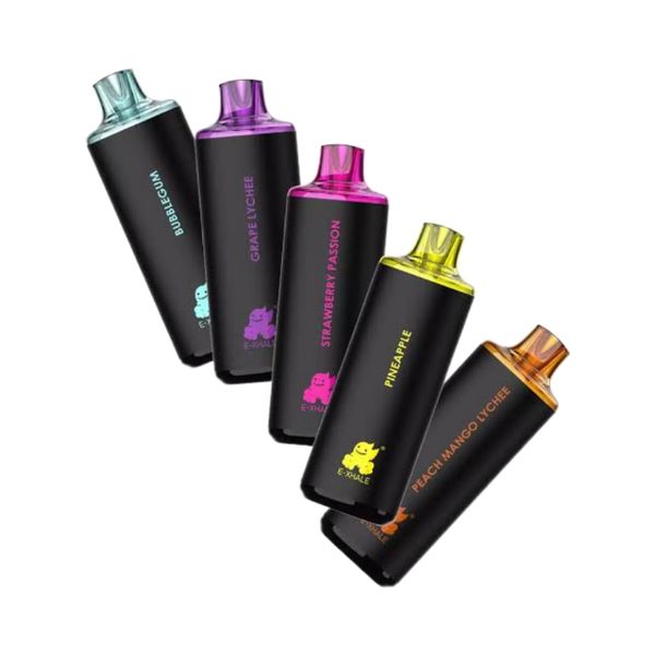 E-Xhale 5000 Puffs Disposable Vape - Variety (Pack of 5)