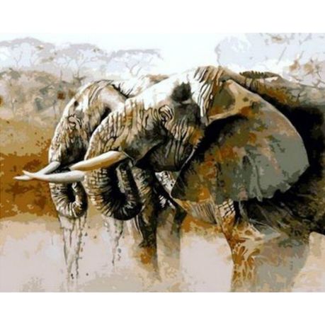 Paint By Numbers DIY - 40cmx50cm Framed Canvas - Wildlife