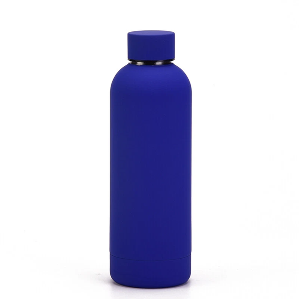 500ml Leak-Proof Sports Water Bottle