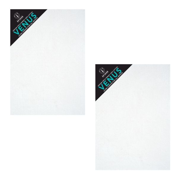 Art Board Venus Stretched Canvas A4 set x2