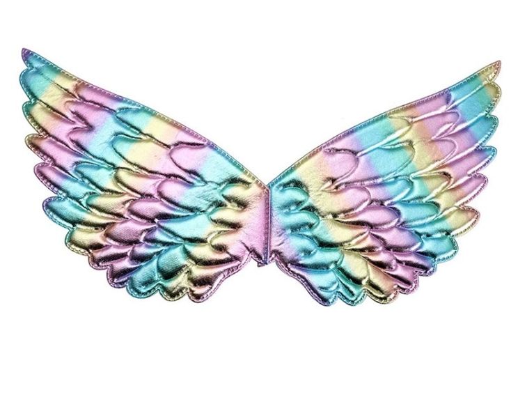 Children Dress Up Wings