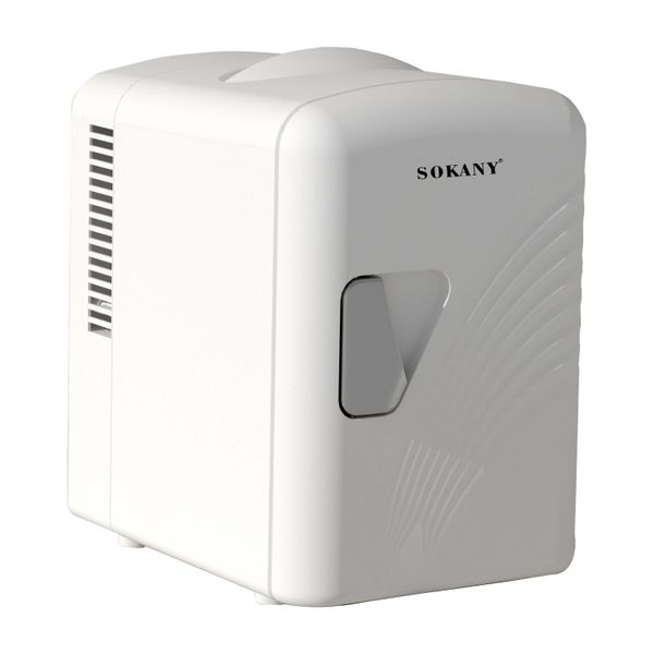 Portable 4L Car Mini Fridge Cooler &amp; Warmer For Camping &amp; Travel