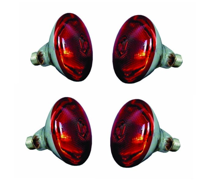 4 x 250w Infrared Heat bulbs Red