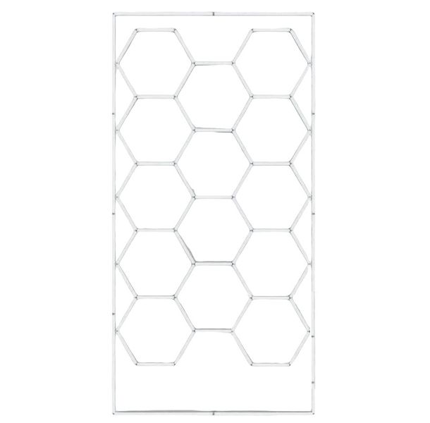 14 Hexagon LED Lights