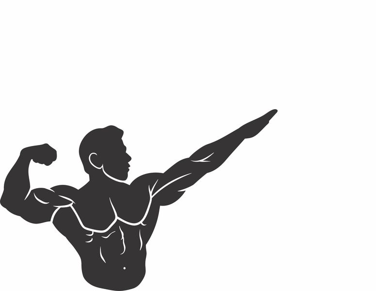 Vinyl Stickers Bodybuilder 1 Decals; Art - Decor