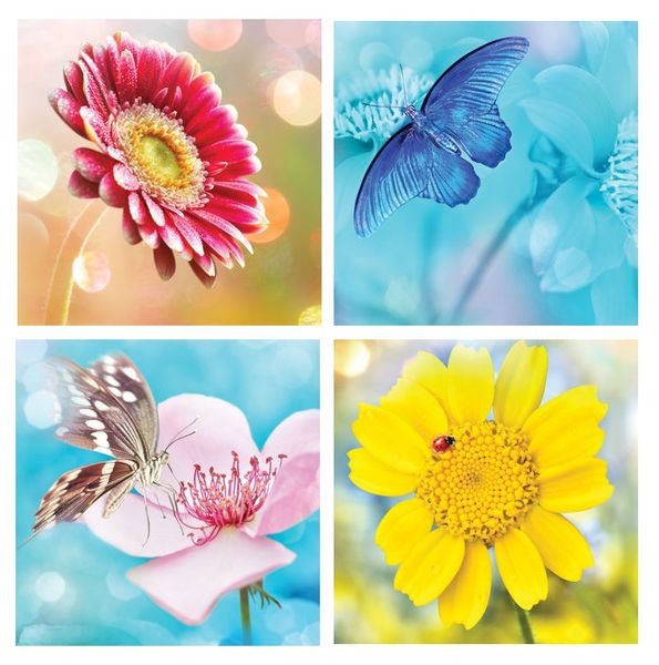 Nature - Greeting Cards Pack of 4