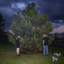 1000 Gecs (Vinyl / 12" Album Coloured Vinyl)