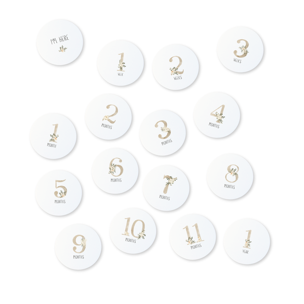 Echo Baby Milestone Cards