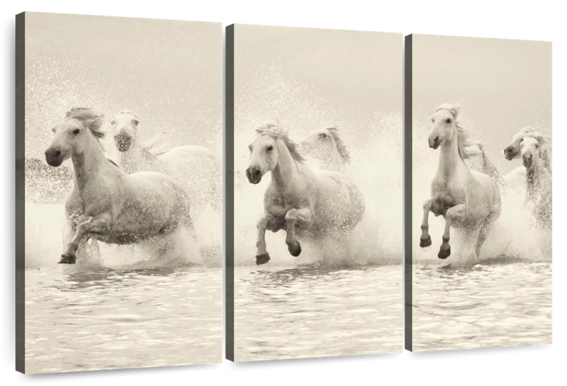 Canvas Art - Water Horses 3 Piece Canvas Wall Art Living Bedroom Decor