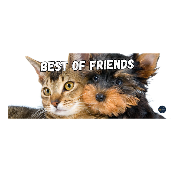 Reptile Cage Sign - "Best of friends
