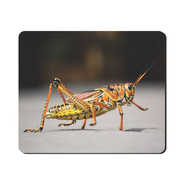 Mouse Pad -Orange Grasshopper