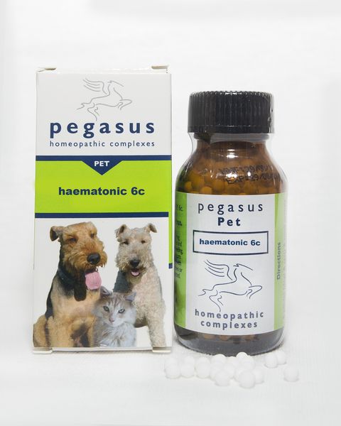 Pegasus Haematonic 6c 25g
