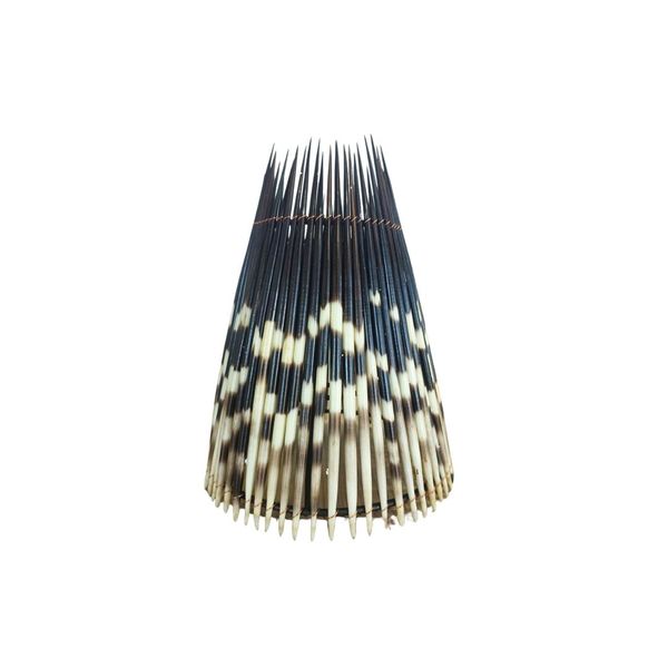 Porcupine Quill Lamp Shade