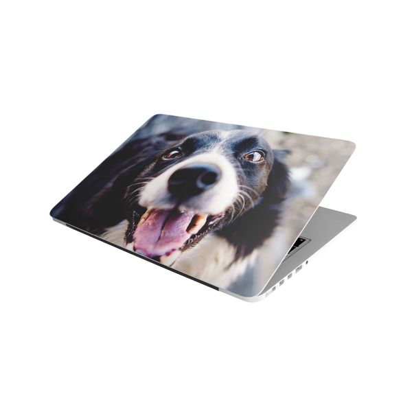 Laptop Skin/Sticker - Cute Border Collie