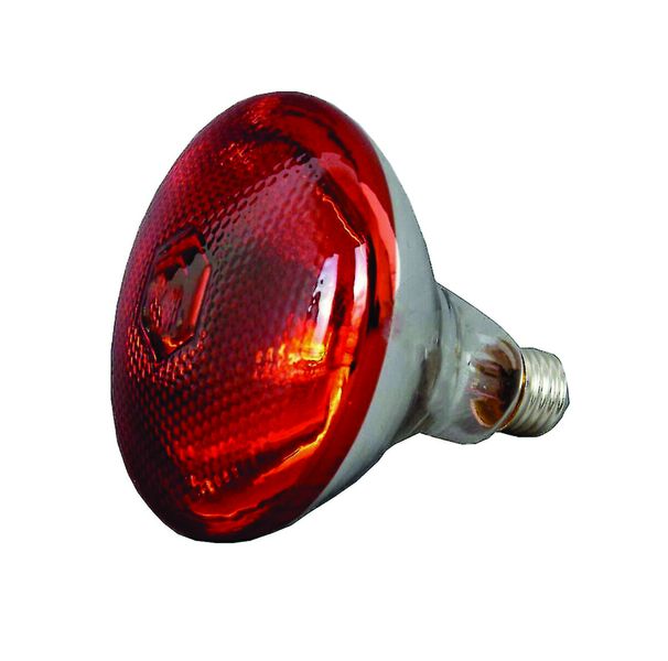 Infrared Heat Lamp 175 W