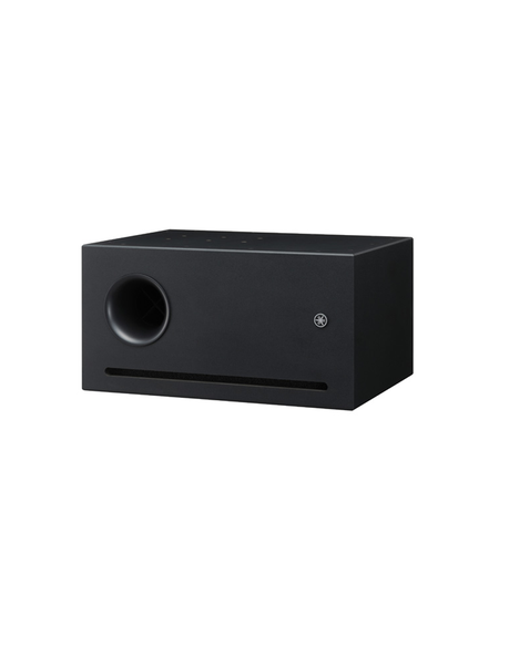Yamaha VXS10ST Surface Mount Speaker (Black)