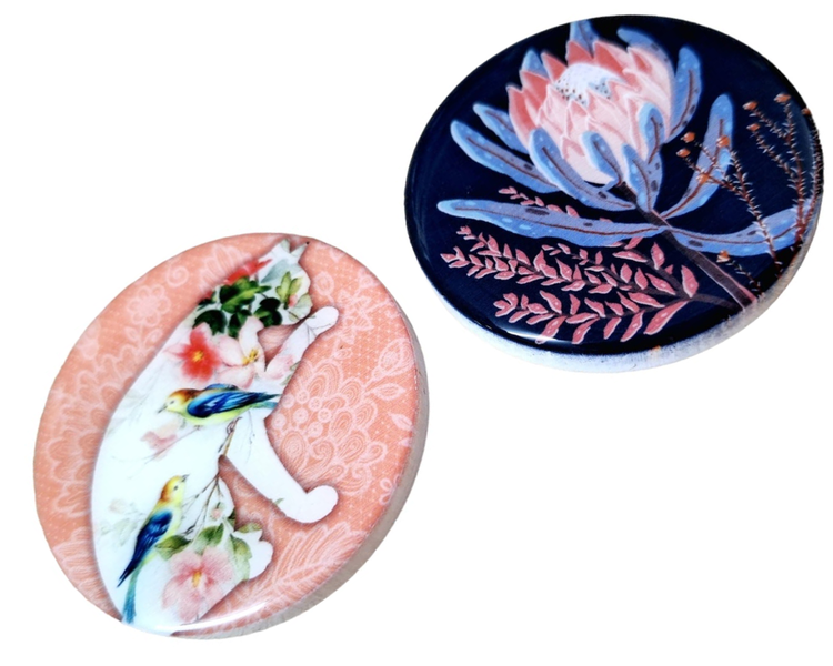 Cat Protea Combo 2 Fridge Magnets
