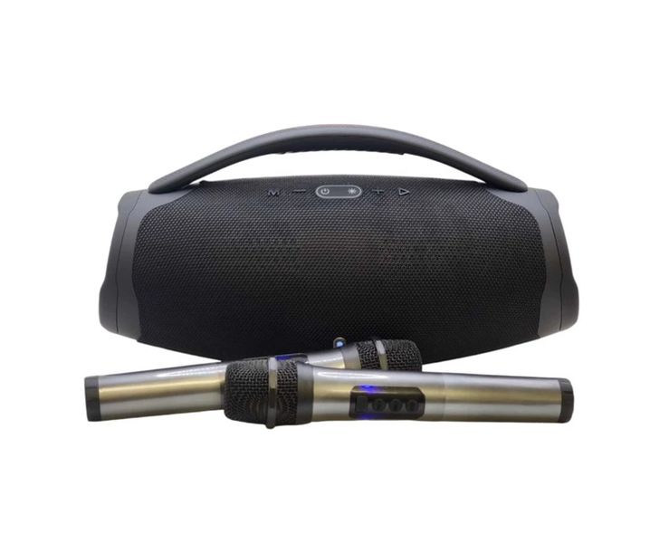 Wireless High Sound Quality Speaker With 2 Voice Changing Microphone ITS009