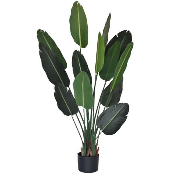 Jeff Artificial Banana Leaf Plant 2.1m Buy Online in South Africa