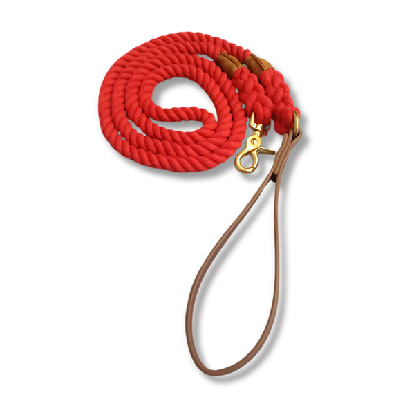 Stylish Red Dog Rope Leash