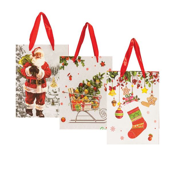 Xmas Stationery Gift Bag Medium 18cm x 23cm (10 Pack)