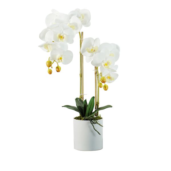 HouzeComfort Artificial Orchid Flower Indoor and Outdoor Pot Plant Decor