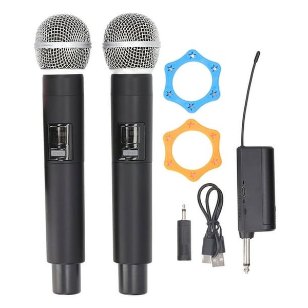 Pro UHF Wireless Dual Microphone System W/ Receiver