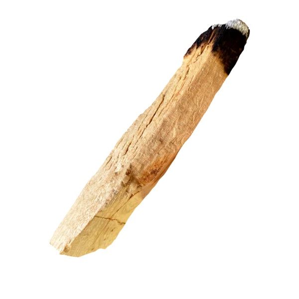 Nature's Pharmatropia - Large Palo Santo Smudging Stick