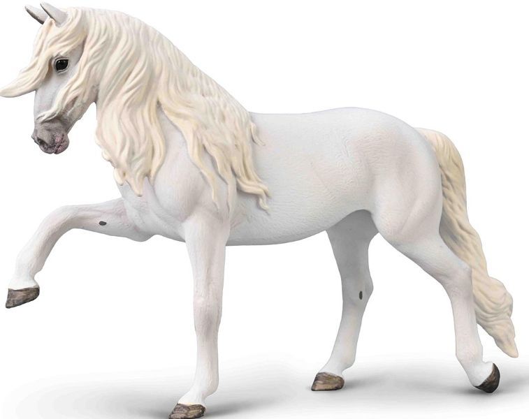 Horses Xl Lipizzaner Mare