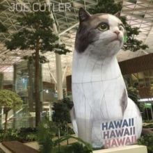 Joe Cutler: Hawaii Hawaii Hawaii (CD / Album Digipak)
