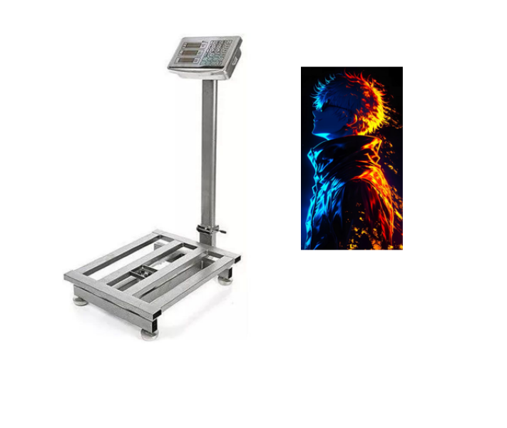 High Quality 600kg Foldable Industrial Weighing and Price Computing Scale
