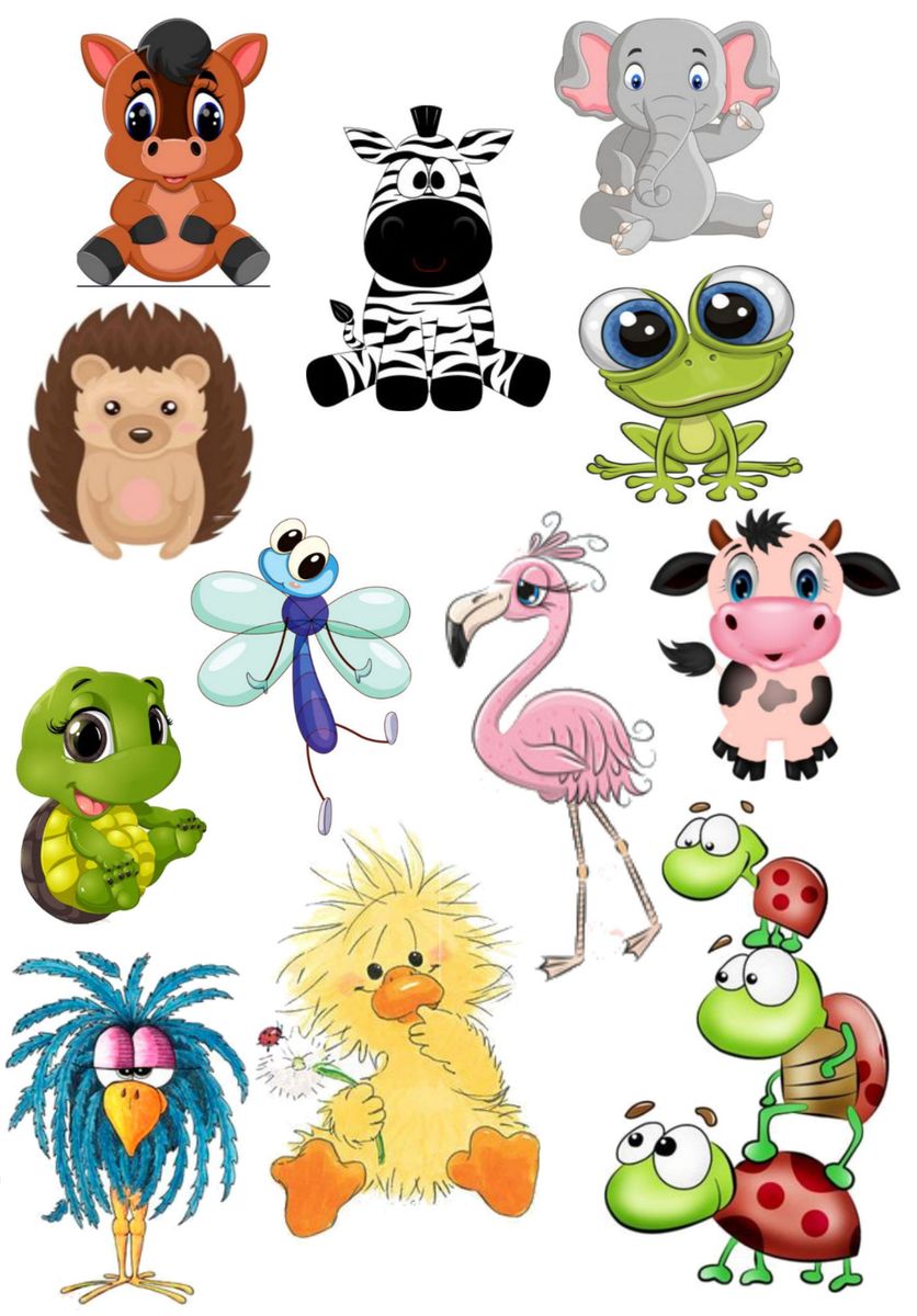 Animal Sticker Bulk Pack Buy Online in South Africa